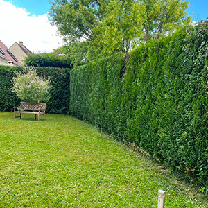 Entreprise d'élagage et d’abattage à Ecouen (95440) -  Envoyer du Bois dans le Val d'Oise (95)