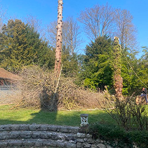 Entreprise d'élagage et d’abattage à Ecouen (95440) -  Envoyer du Bois dans le Val d'Oise (95)
