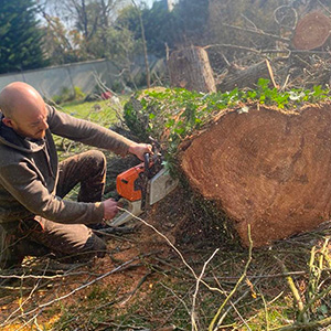 Entreprise d'élagage et d’abattage à Ecouen (95440) -  Envoyer du Bois dans le Val d'Oise (95)