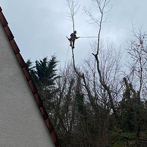 Entreprise d'élagage et d’abattage à Ecouen (95440) -  Envoyer du Bois dans le Val d'Oise (95)