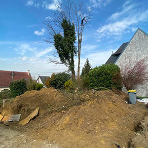 Entreprise d'élagage et d’abattage à Ecouen (95440) -  Envoyer du Bois dans le Val d'Oise (95)
