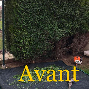Entreprise d'élagage et d’abattage à Ecouen (95440) -  Envoyer du Bois dans le Val d'Oise (95)