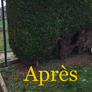 Entreprise d'élagage et d’abattage à Ecouen (95440) -  Envoyer du Bois dans le Val d'Oise (95)