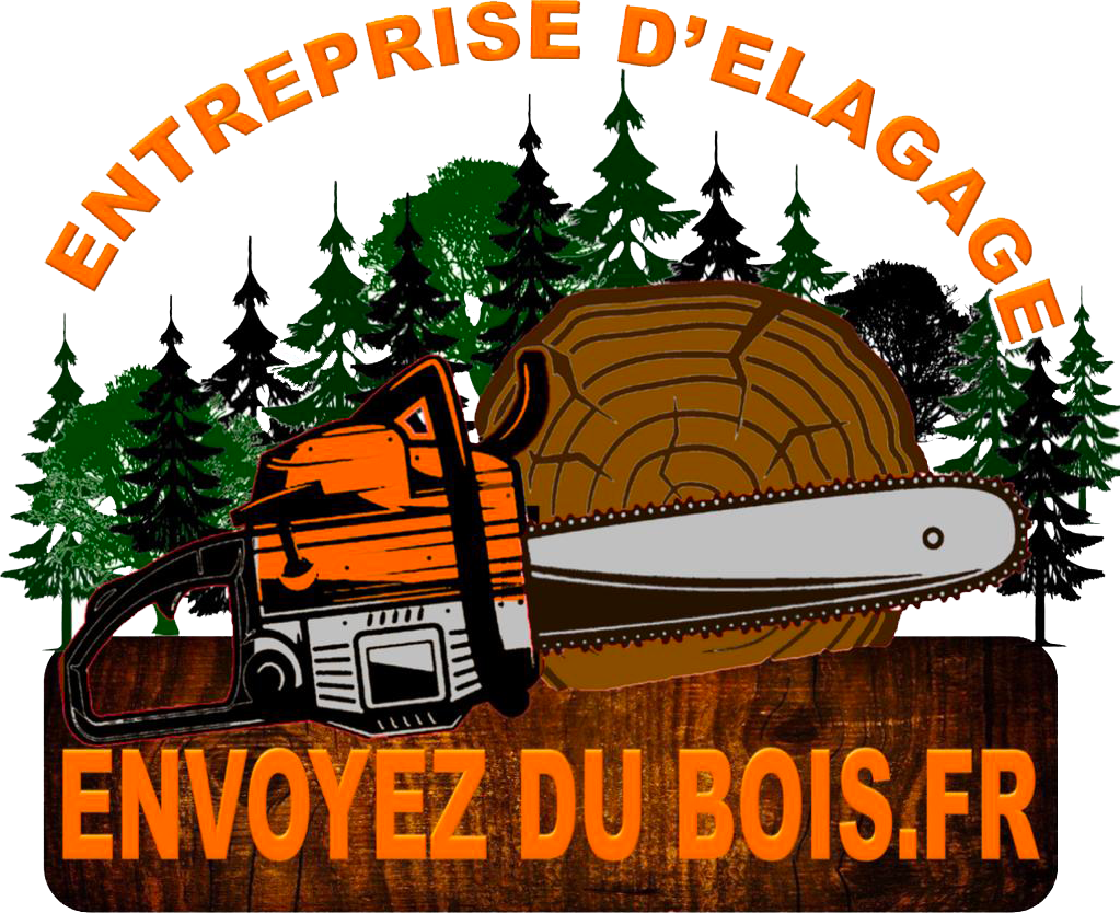 Entreprise d'élagage et d’abattage à Ecouen (95440) -  Envoyer du Bois dans le Val d'Oise (95)