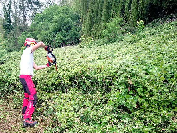 Débroussaillage Ecouen (95440) - Envoyer du Bois dans le Val d'Oise (95) Débroussaillage Ecouen (95440) - Envoyer du Bois dans le Val d'Oise (95)