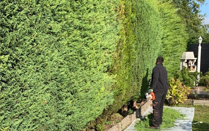 Entretien d’espaces verts à  Ecouen (95440) - Envoyer du Bois dans le Val d'Oise (95)
